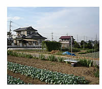 無農薬野菜農園（埼玉県）